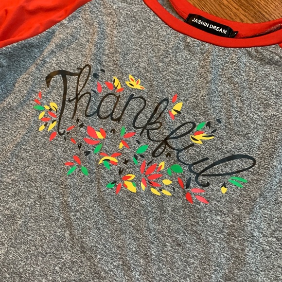 Jashin Dream “ Thankful “ Long Sleeve Top Fall Autumn Thanksgiving. Sz L EUC! - Picture 3 of 8
